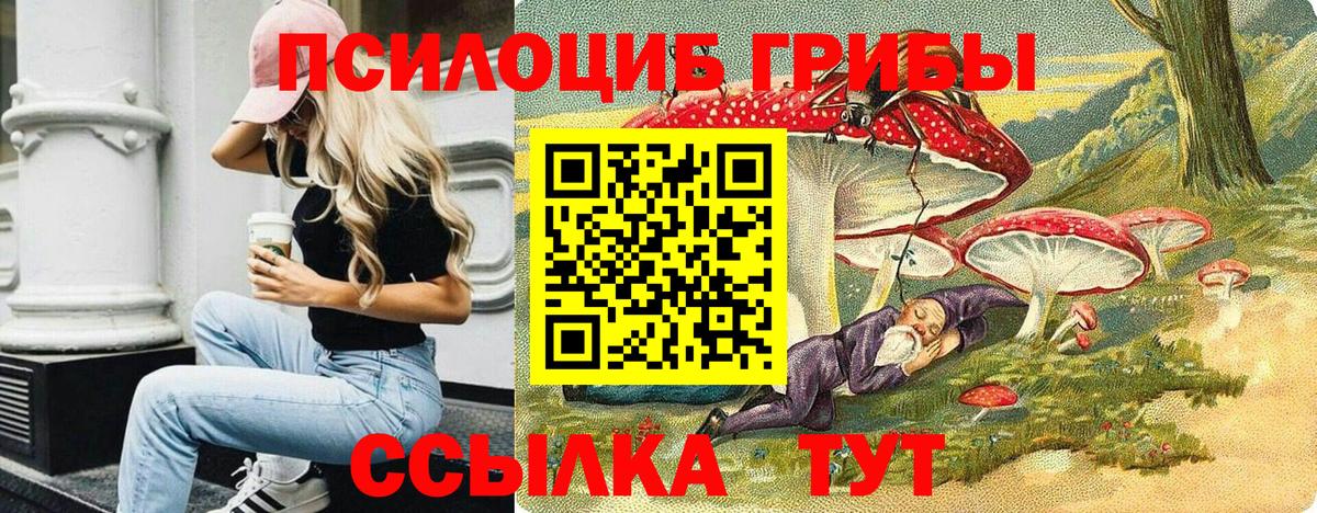 продажа наркотиков  Вход с VPN  Минусинск  Псилоцибиновые грибы Psilocybine cubensis 
