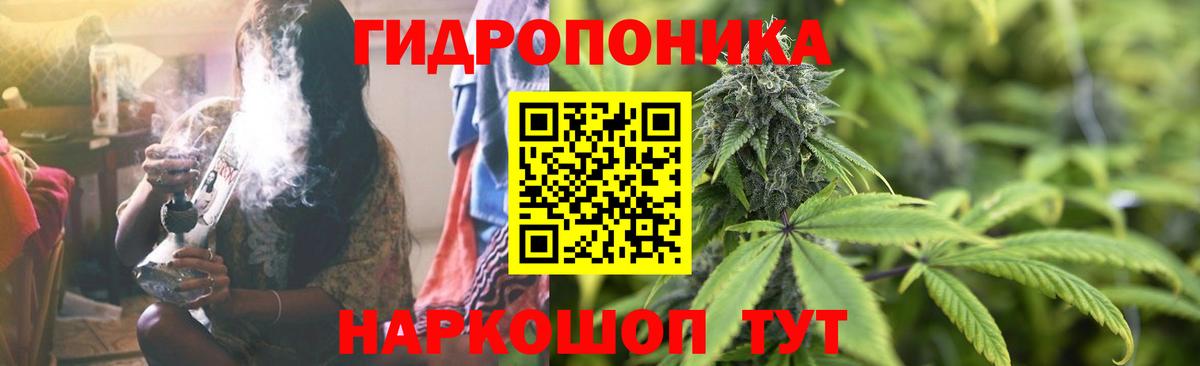 Каннабис планчик  Бошки Шишки ГИДРОПОН  Вход с VPN  Минусинск 